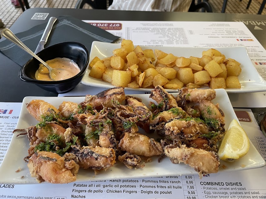 Cerveceria La Terracita