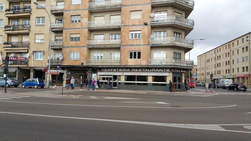 Restaurante Cafetería El Pato Rojo