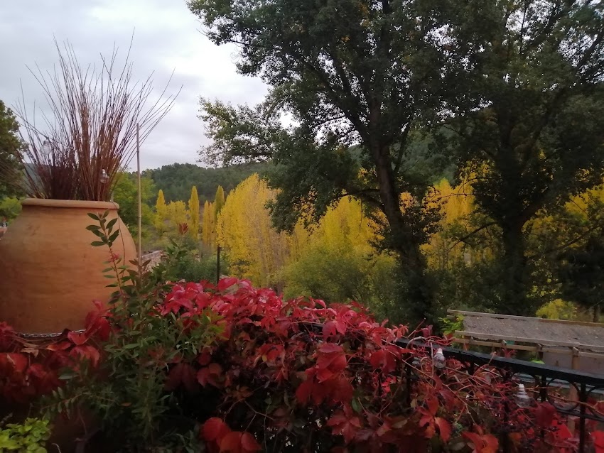 Restaurante El Balcón de la Serranía