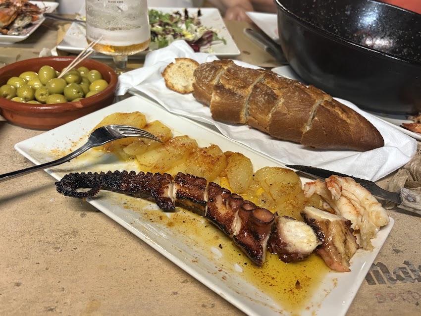 Calsoteca