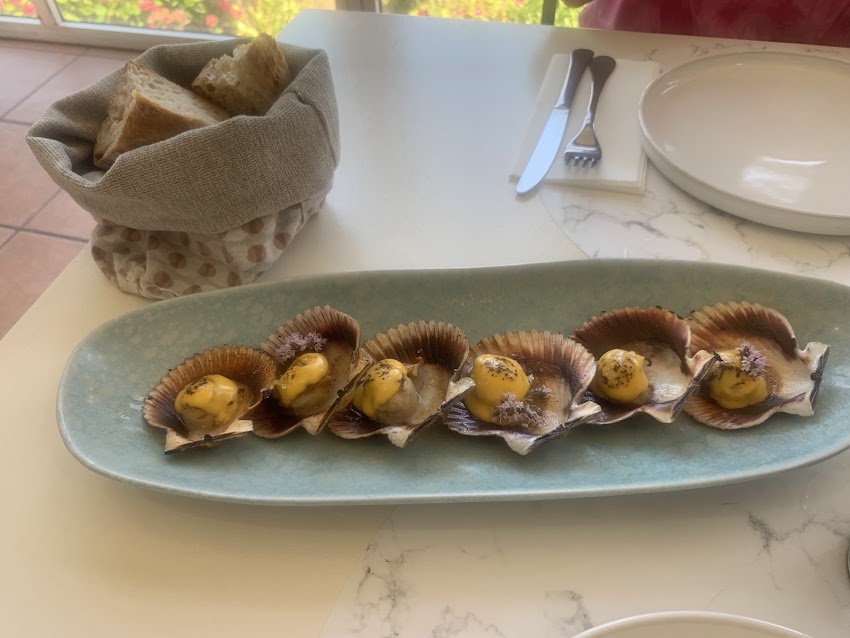 Taberna Gula