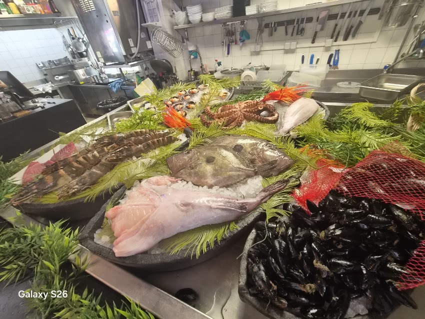 Restaurante Can Babiloni