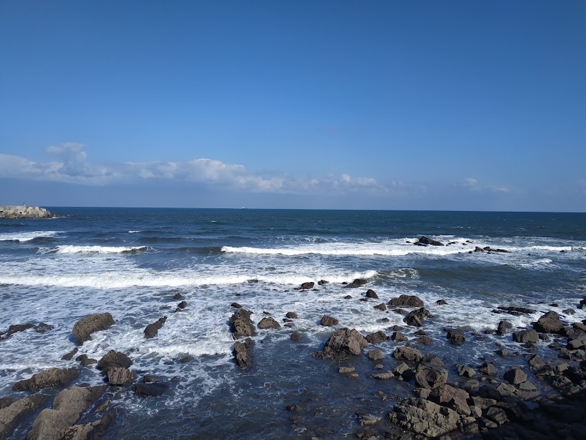 Restaurante TARAGAÑU