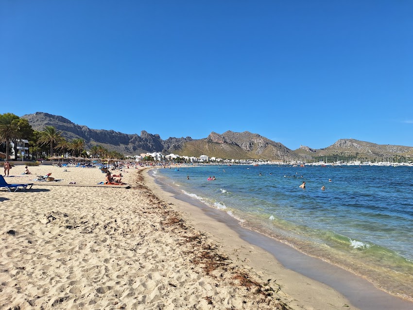 Platja del Port de Pollença