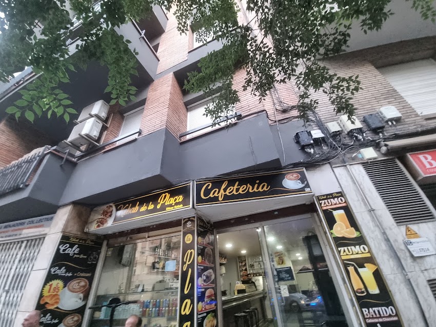 Best Pizza