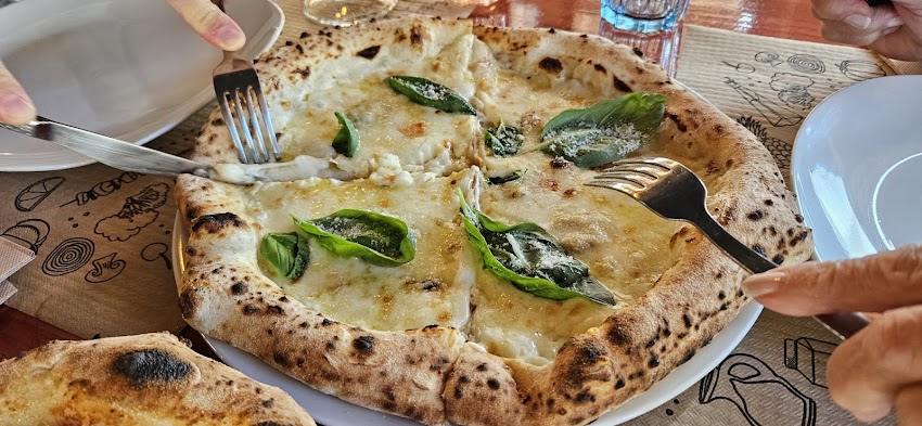 La Pineta