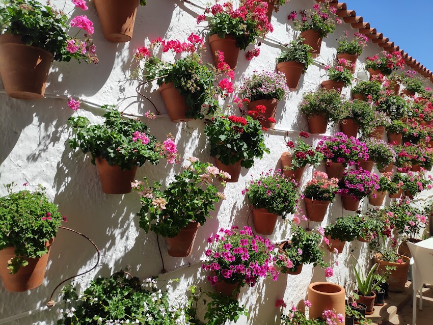 Restaurante Abad