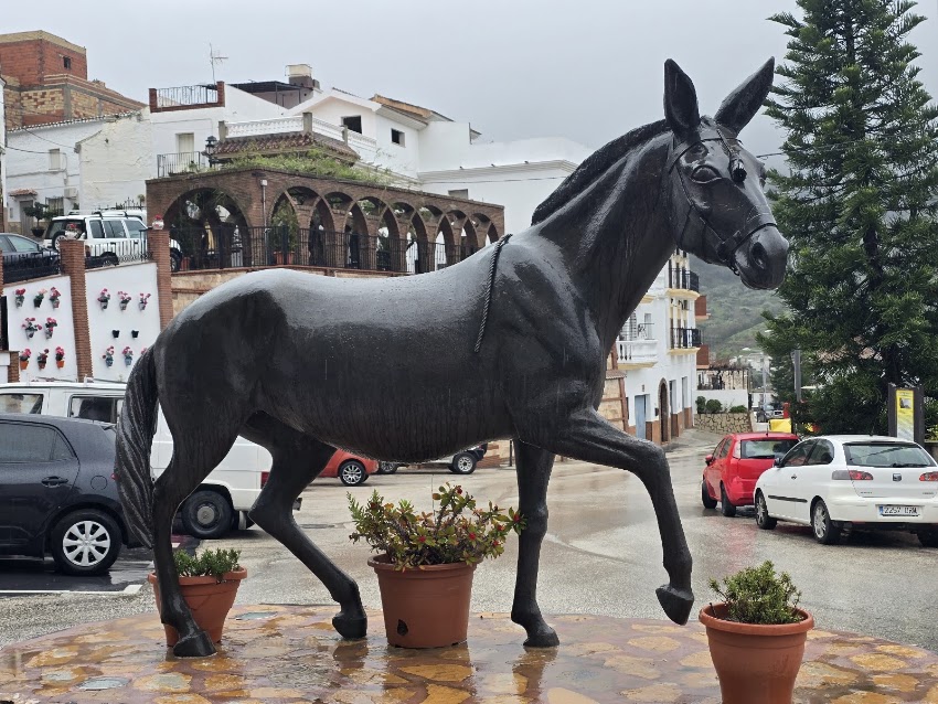 Café Bar – Juanete