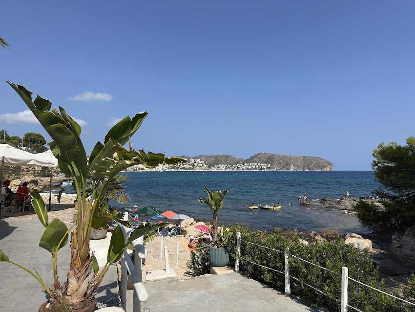 Algas l’Andragó