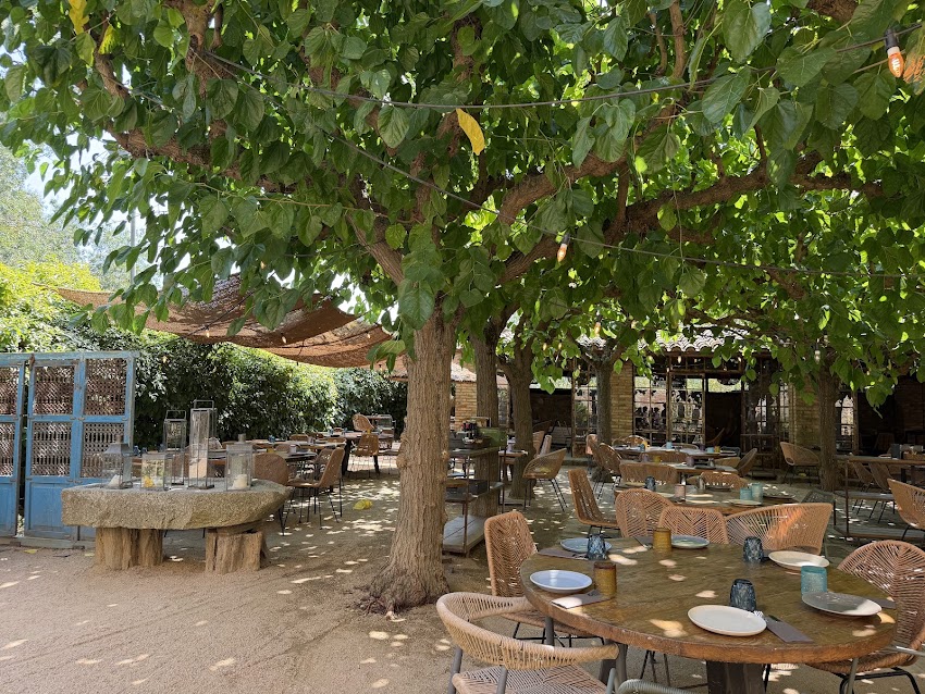 Llenya Restaurant
