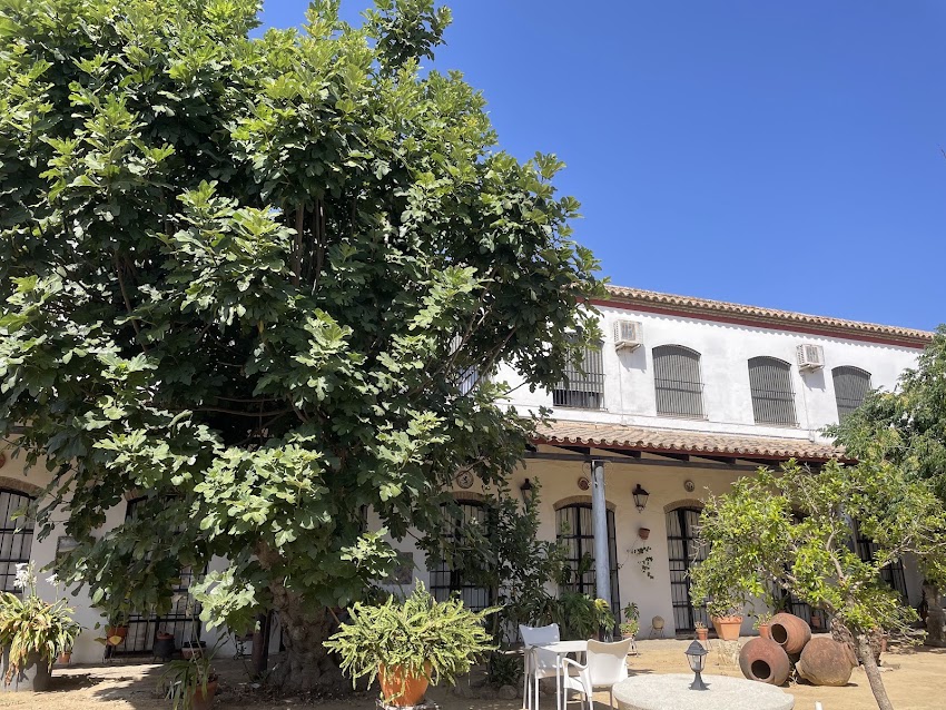Venta del Alto