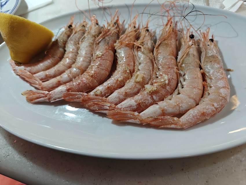 El Barril de La Moraleja