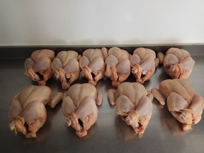 Asador de pollos Golden Chicken