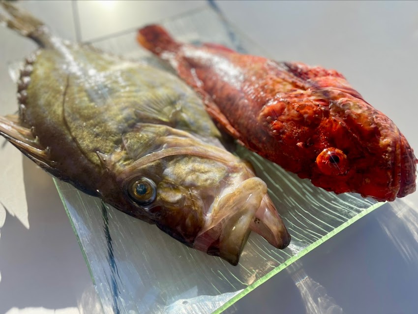 Restaurante La Lonja