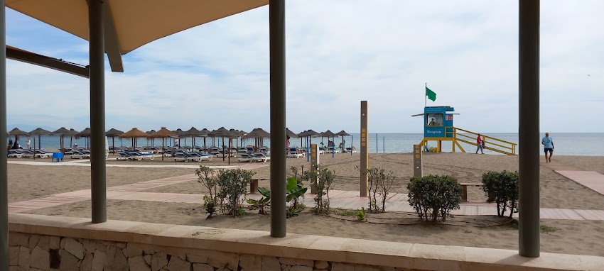 Civeta