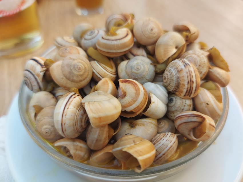 Cerveceria Mediterráneo
