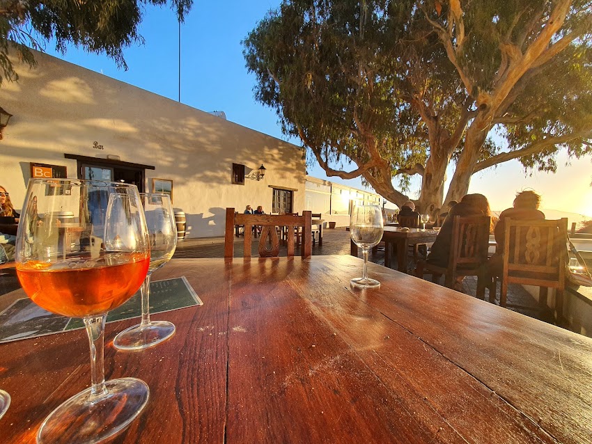 Bodegas Rubicón