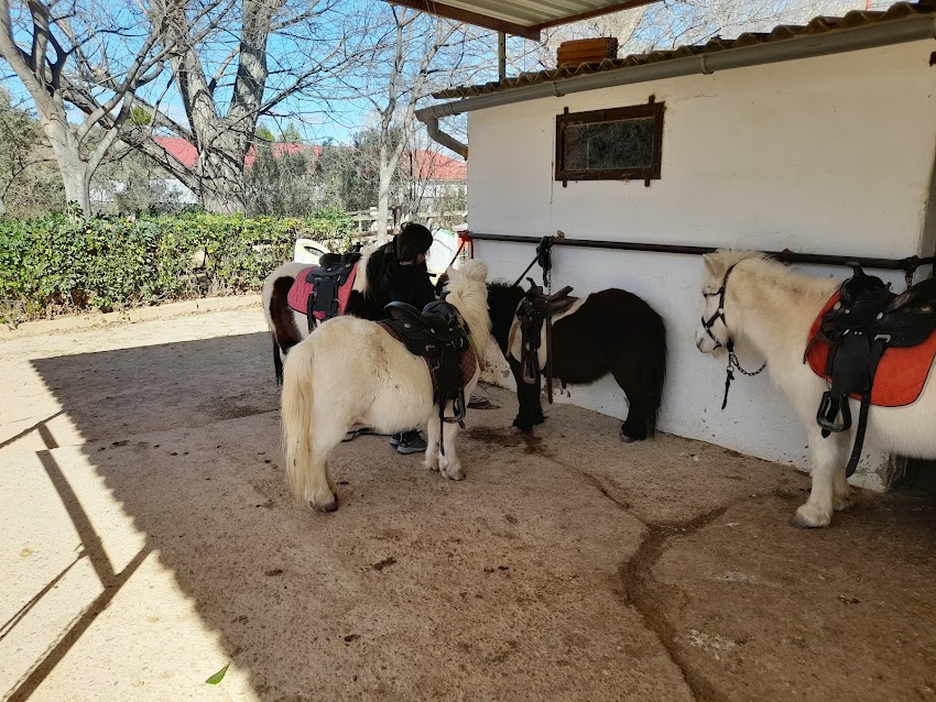 Club Hipico Santa Cruz