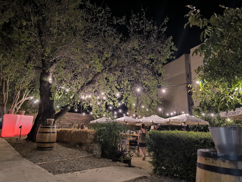EL CELLER DE L’AVI