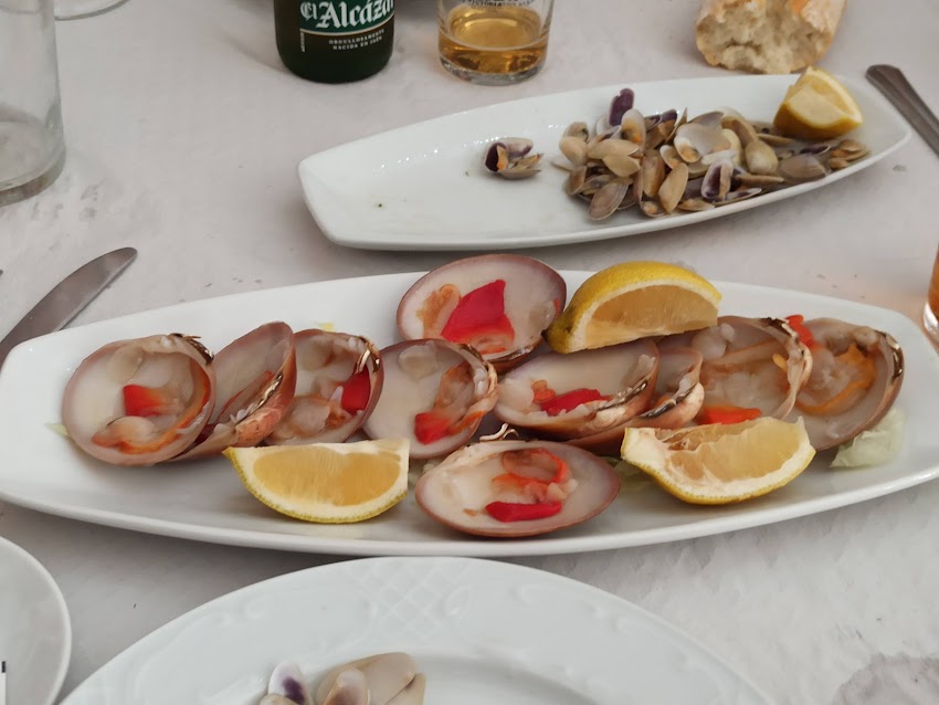 Gamba Cristal