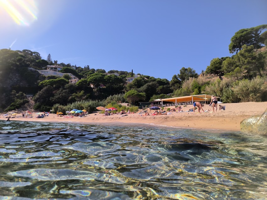 El Xiringu Playa Llorell