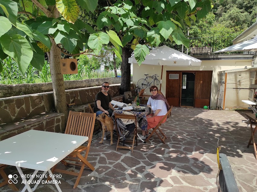 Restaurante Elane