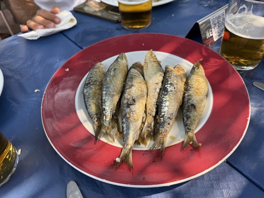 Terramar