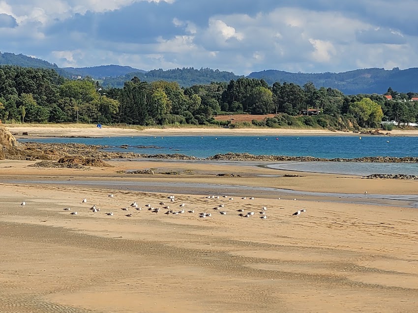 THE ESTUARY BAR