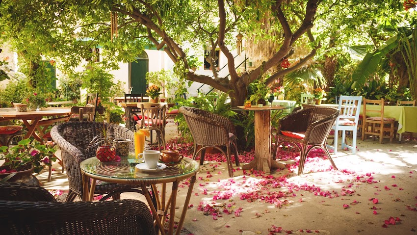 Temple Natura Café Garden