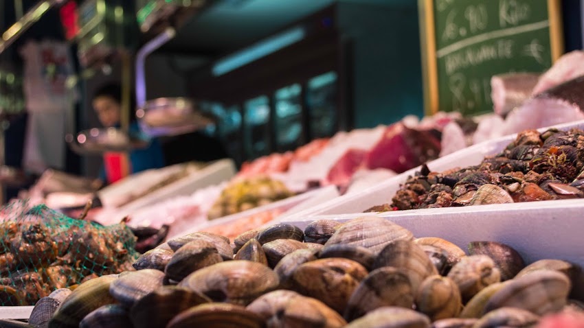 Pescaderías Charo. Pescadería y Marisquería en Alcázar de San Juan – Ciudad Real