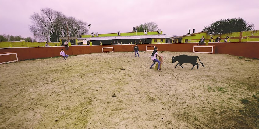 LA TIENTA
