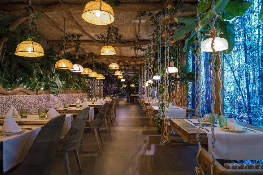 La Selva Barcelona | Còrsega