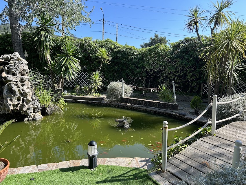 Restaurant El Lledoner