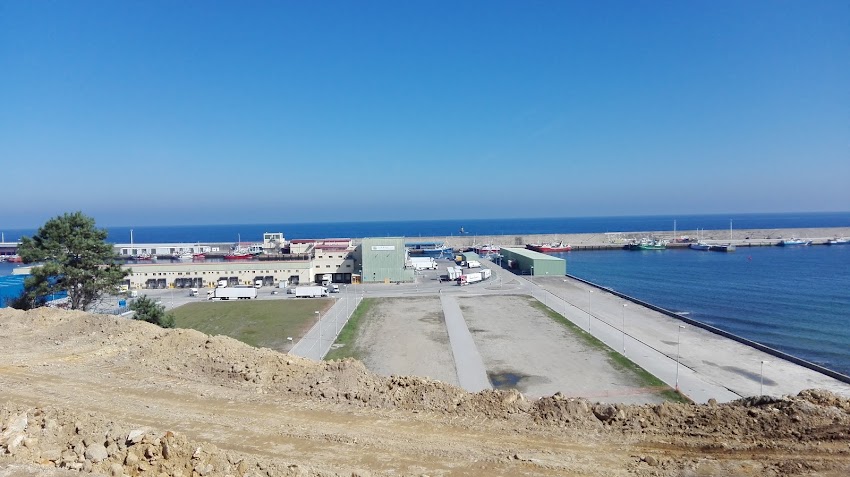 Pescados Chileno