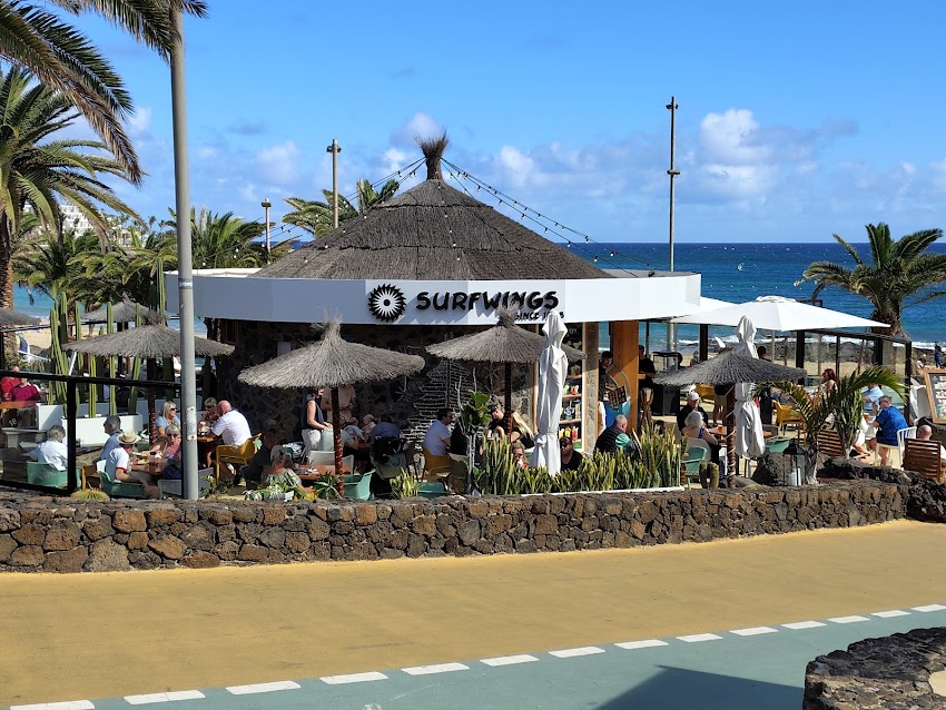 Surfwings