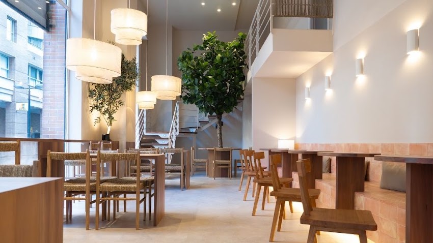 Lassal Takeaway – Juzgados