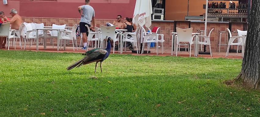 Restaurante Las Lagunas