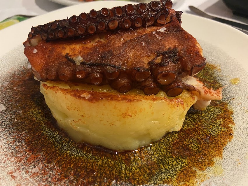 Octopus | Girona