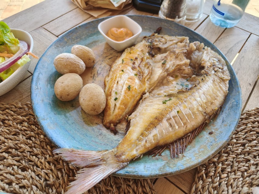 Raíces Gran Tarajal