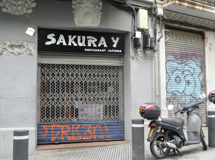 Sakura Y