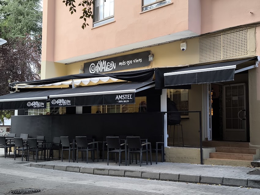 El Camaleón Más Que Vinos