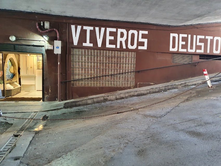 Viveros Deusto