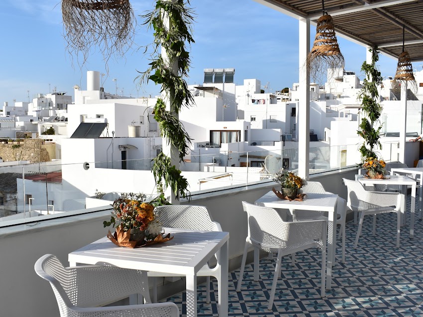 Alzocaire Terraza