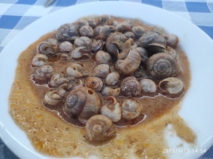 Restaurant – Casa Martí
