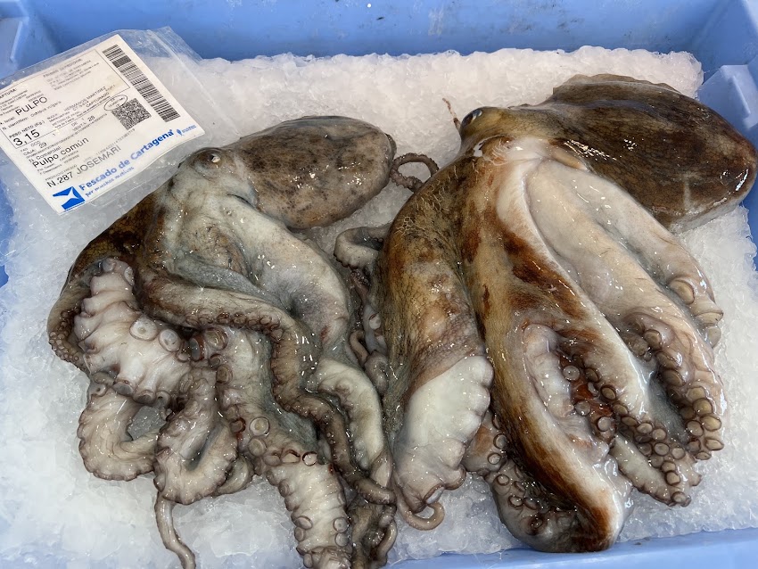Pescados Cabo de Palos I