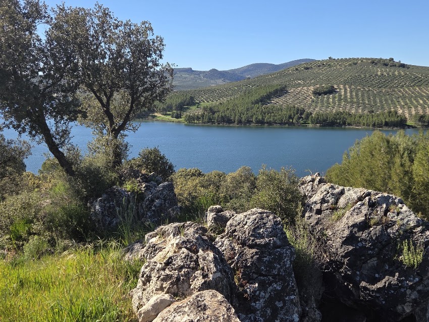 Chiringuito Del Lago