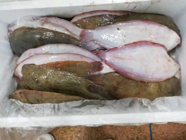 venta de pescado
