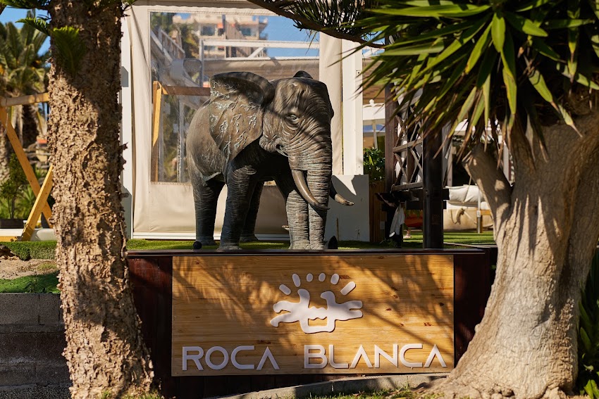 Roca Blanca Beach Club & Restaurant