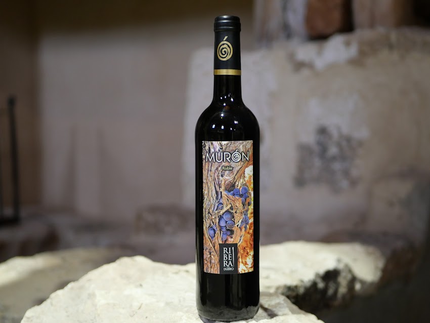 Severino Sanz – Bodega en Ribera del Duero