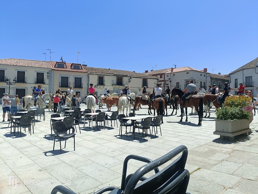 Bar Plaza